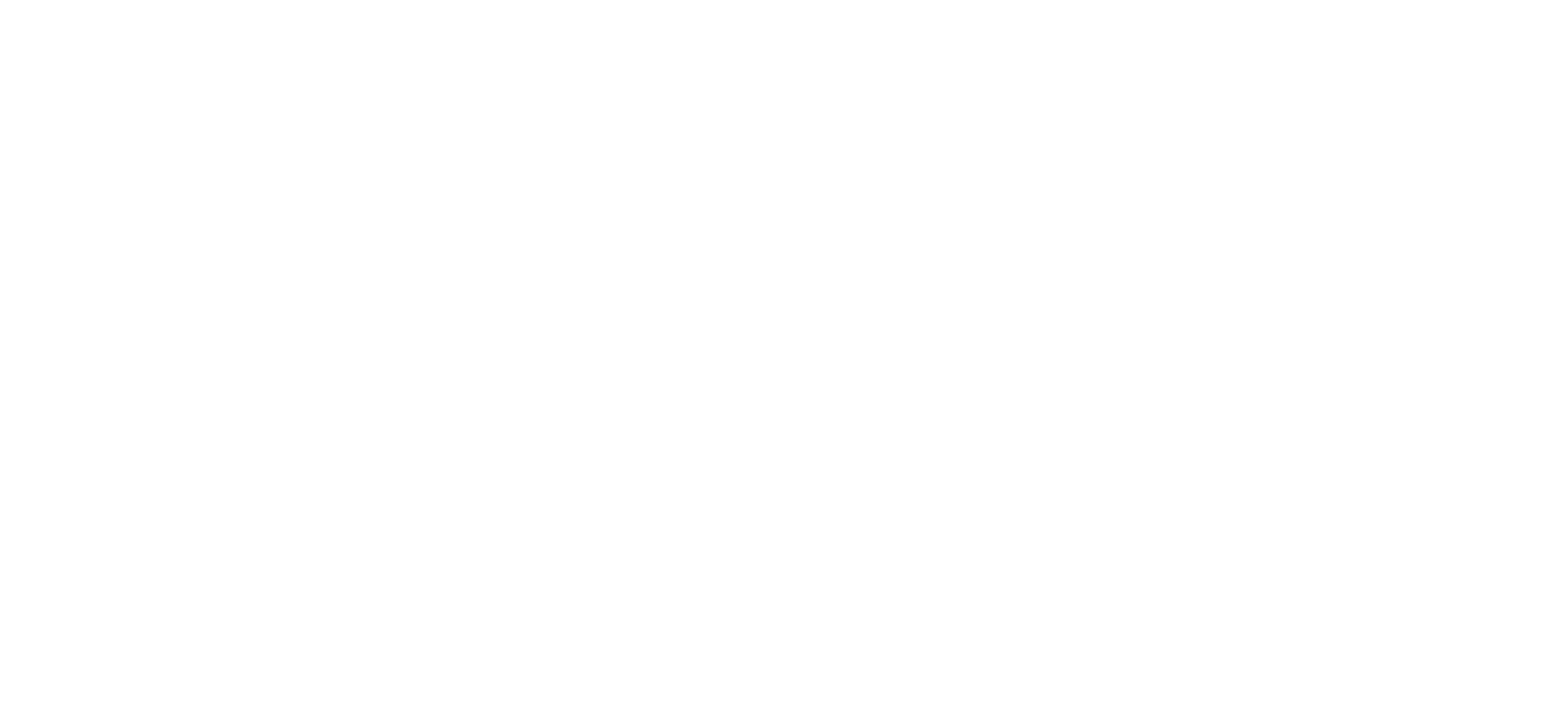 MDS Casinos